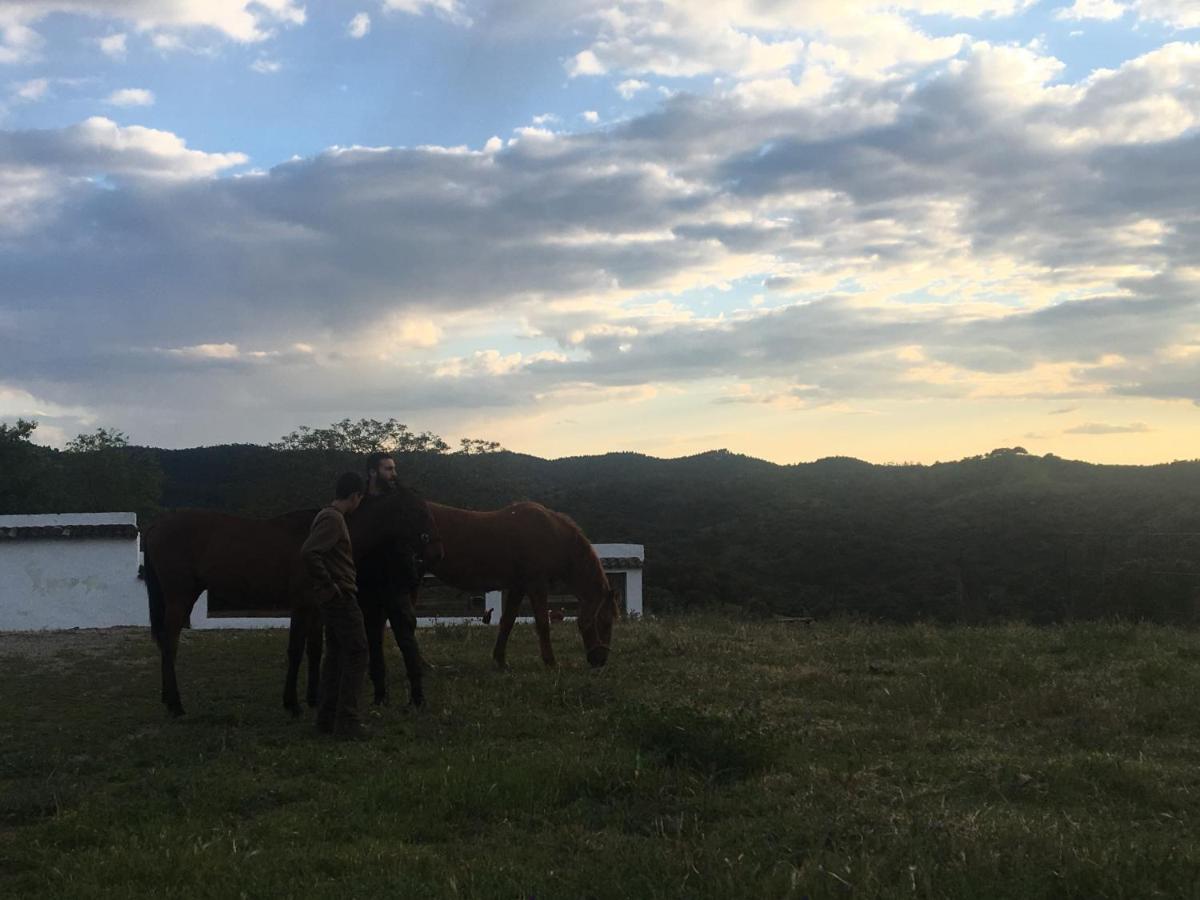 Casa Rural Monterrey Aroche Εξωτερικό φωτογραφία